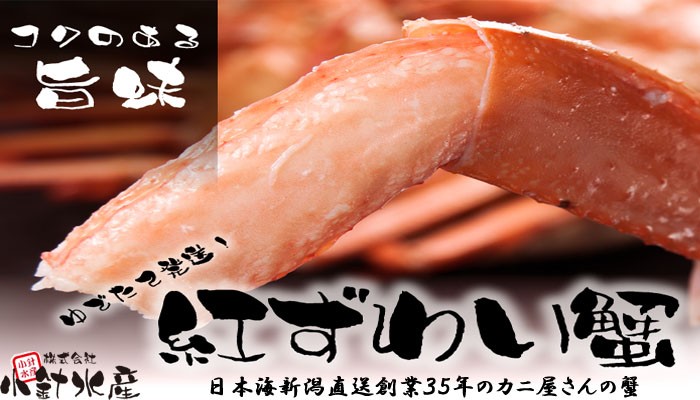 ゆでたて発送！紅ずわい蟹　日本海新潟直送創業35年のカニ屋さんの蟹